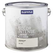 GAMMA color intense binnenlak hoogglans 2,5 L gebroken wit
