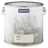 GAMMA color intense binnenlak zijdeglans 2,5 L RAL 9001