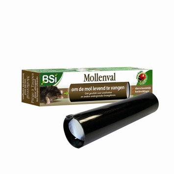 BSI mollenval