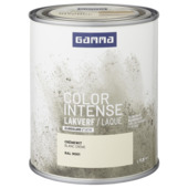 Laque intérieure satinée GAMMA color intense 750 ml RAL9001