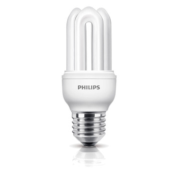 Paar Zachte voeten stortbui Philips Genie spaar sticklamp E27 600 lumen 11W = 50W | spaarlampen |  GAMMA.be