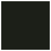 Kleurstaal GAMMA maatwerk aluminium jaloezie 25 mm mat zwart (5109)