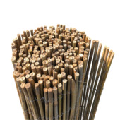 Balkonscherm bamboe ± 90x300 cm