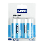 GAMMA alkalinebatterij D 2 stuks