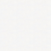 Renovatievlies overschilderbaar uni wit 7800 130 g 25 m