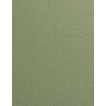 Kleurstaal GAMMA maatwerk rolgordijn lichtdoorlatend mos (1013)