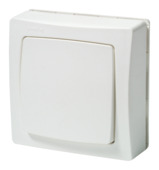 Interrupteur bipolaire Oteo Legrand montage apparent blanc