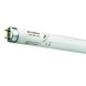 Sylvania Tube TL
