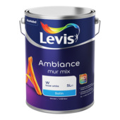 Peinture murale Levis Ambiance satin 5 L base W