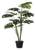 Monstera in pot groen - h100xd70cm