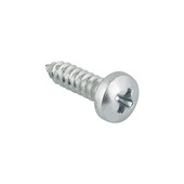 Carroserie schroef cilinderkop verzinkt 4,2X13 mm 30 stuks