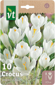 Bloembol crocus Jeanne d'Arc 8/9 10 stuks