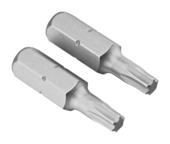 Irwin schroefbit Torx 25 mm T15. 2 stuks.