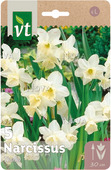 Bloembol narcissus Thalia 12/14 5 stuks