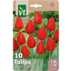 VT Crocus