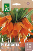 Bloembol fritillaria Rubra maxima 22/+ 1 stuk