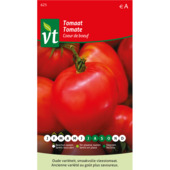 Tomate coeur de boeuf  VT 0,3g