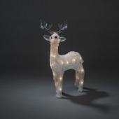 LED rendier acryl 19x31,5 cm