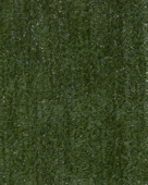 Haag Canada Super groen 150 x 300 cm