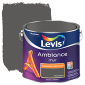 Levis Ambiance poedermat magma 2,5 L