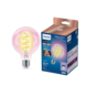 Philips Smart LED globe E27 6.3W filament helder