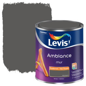 Levis Ambiance poedermat magma 1 L