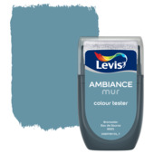 Levis Ambiance tester muurverf mat bronwater 30ml