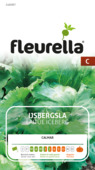 Fleurella zaden Ijsbergsla Calmar