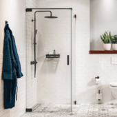 Sealskin draaideur Pure voor combinatie met zijwand 90x200 cm mat zwart