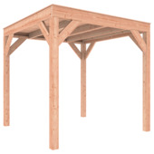 Overkapping Douglas 255x255 cm