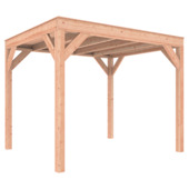 Overkapping Douglas 305x255 cm