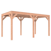 Overkapping Douglas 495x255 cm symmetrisch