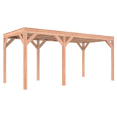 Overkapping Douglas 545x255 cm a-symmetrisch