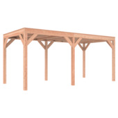 Overkapping Douglas 545x255 cm a-symmetrisch