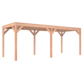 Overkapping Douglas 645x255 cm