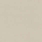 GAMMA kleurstaal kant en klaar gordijn beige (1389)