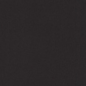 GAMMA kleurstaal kant en klaar gordijn zwart (1391)