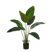 Bananenboom in pot groen - h110xd30cm