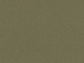 Kleurstaal GAMMA (vouw)gordijnstof Jelle 4882 moss op maat