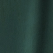 Rideau Kira  4729 forest