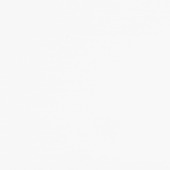 Dumapan PVC kunststof wandbekleding 25x260 cm 2,6 m² wit hoogglans