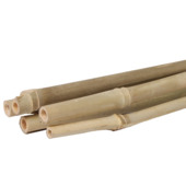Bamboestok 8-10 mm 90 cm 7 stuks