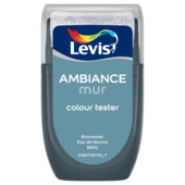 Levis Ambiance tester muurverf mat bronwater 30ml