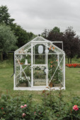 Royal Well Mary II serre full option aluminium wit 6,0 m²