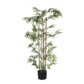 Eucalyptus in pot groen - h150xd30cm