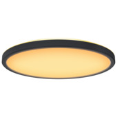GAMMA plafondlamp Azoia zwart Ø30 cm 18W warm wit instelbaar