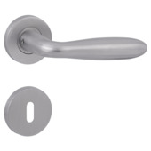 Gamma deurkruk set Golf rond rozet sleutelplaat RVS