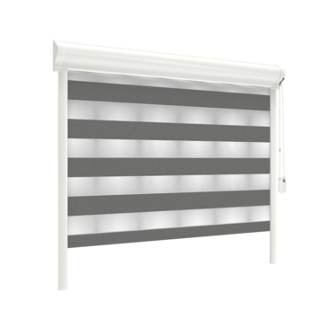 GAMMA duo rolgordijn lichtdoorlatend draaikiepraam kunststof/aluminium 4020 metaal zwart