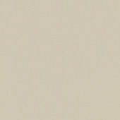 Kleurstaal GAMMA rolgordijn lichtdoorlatend lichtgrijs (kleurnr. 1050) op maat