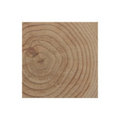 Tuinpaal Douglas hout fijnbezaagd 10x10x300 cm